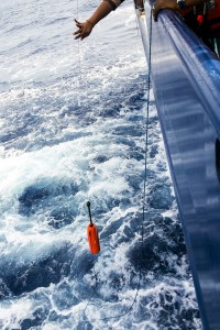 Scientists recovering a conductivity temperature depth instrument, preventing it from smashing against the ship's hull. (Photo by Rongali Viswanadham, National Institute of Oceanography, India)